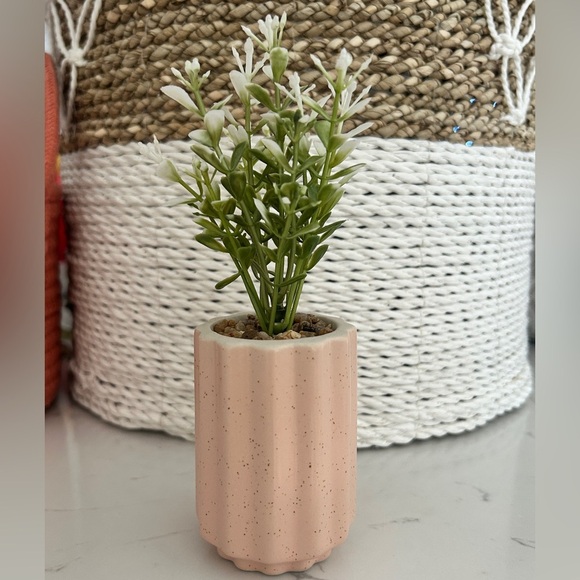 Mini Artificial Potted Plant in Pink Ribbed Ceramic Pot, 4”- NWT - Picture 1 of 3